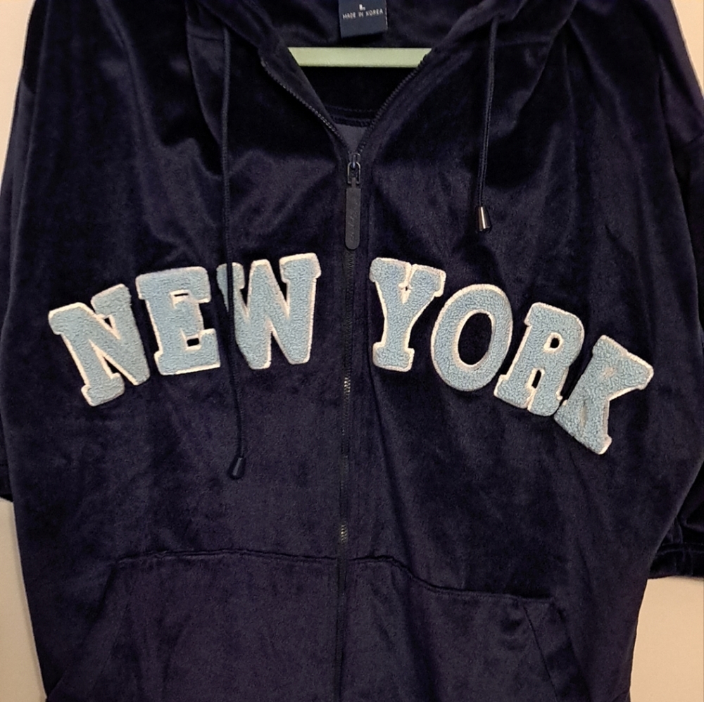 Vintage New York Delf Sportswear Shortsleeved Hoodie Mens Size Large Velour Blue